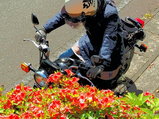 赤いサツキとSR125、ライダー自身が揃ったセルフタイマー自撮り。左腕付近にはアゲハチョウが写り、全体はアニメ調のリーニュクレールで仕上げられている