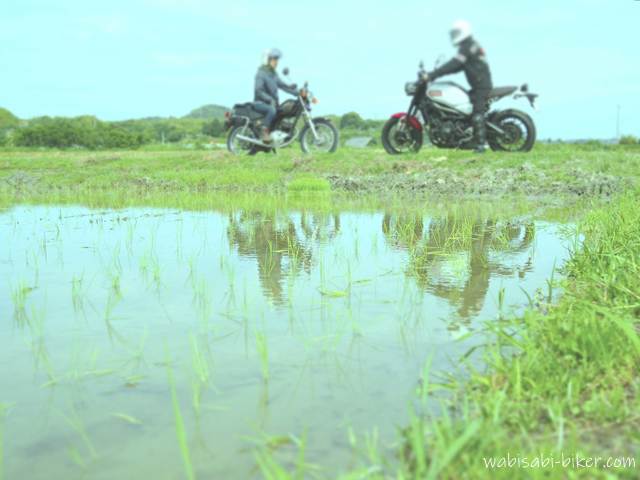 田植え直後の水田に、SR125とXSR900に乗る二人のライダーが映り込む。リフレクションを意識して構成された初夏の一枚