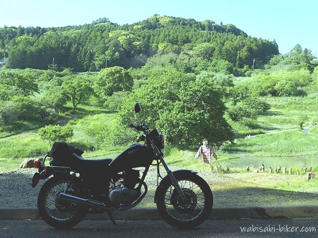 棚田の案山子とオートバイ YAMAHA SR125