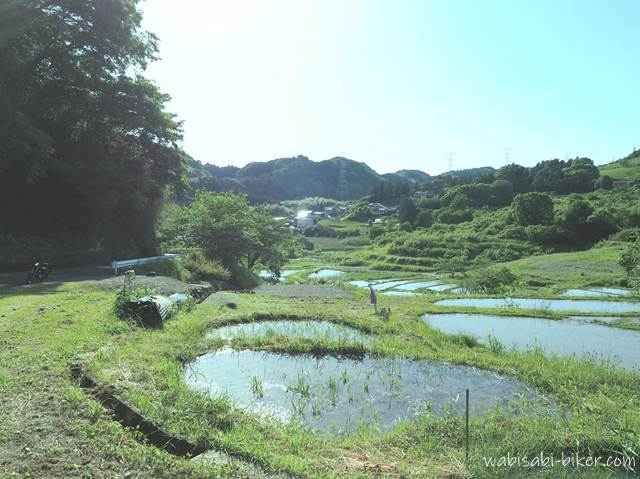 千框の棚田