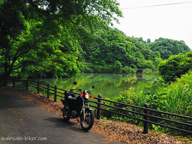 緑の池とオートバイ YAMAHA SR125