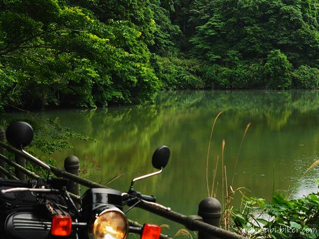 緑の池とオートバイ YAMAHA SR125