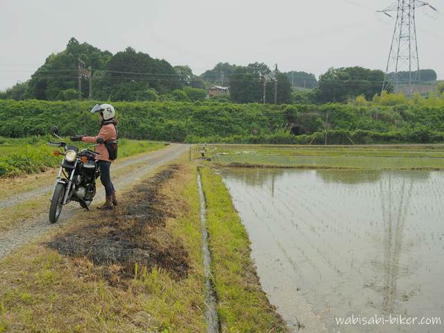 田んぼと畔焼きの跡とバイク乗り