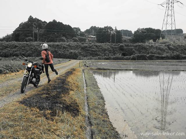 田んぼと畔焼きの跡とバイク乗り