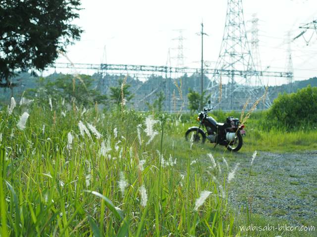 チガヤとオートバイ YAMAHA SR125