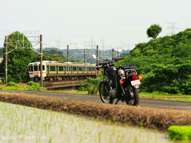 橋梁を通過する電車とオートバイ+田んぼ