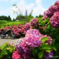 6月の欠片を集めて｜お散歩ツーリングで見た、季節の端っこ