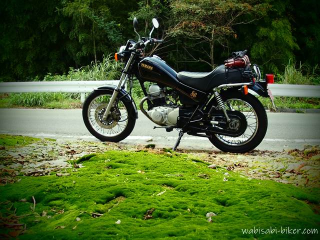 苔とオートバイ YAMAHA SR125