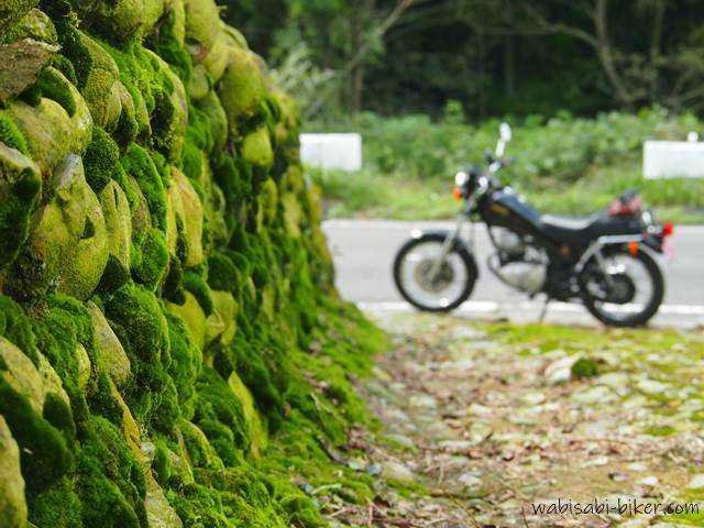 苔とオートバイ YAMAHA SR125