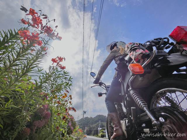 オニユリが咲く道路脇で、バイク(YAMAHA SR125)に跨った人物が花を見ている。花の左側にはクロアゲハ蝶が写り、青空と電線が画面を横切る夏の一枚