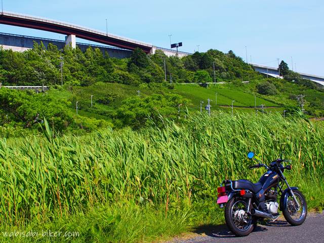 バイクと雑草と茶畑と高架