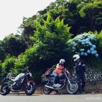アジサイと夫婦バイク乗り YAMAHA SR125、XSR900