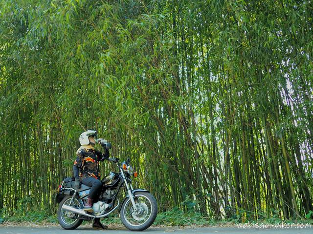 竹と水を飲むバイク乗り YAMAHA SR125