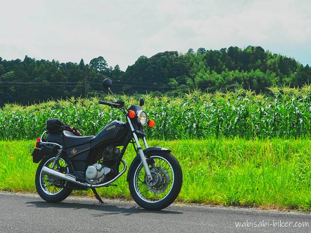 トウモロコシ畑とオートバイ YAMAHA SR125