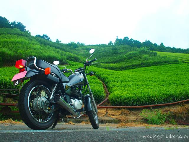 緑の茶畑の斜面を背景に、バイク(YAMAHA SR125)が道路脇に停められている。茶畑の間には赤茶けたモノラックのレールが這うように敷かれており、機械と自然の共存を記録した一枚