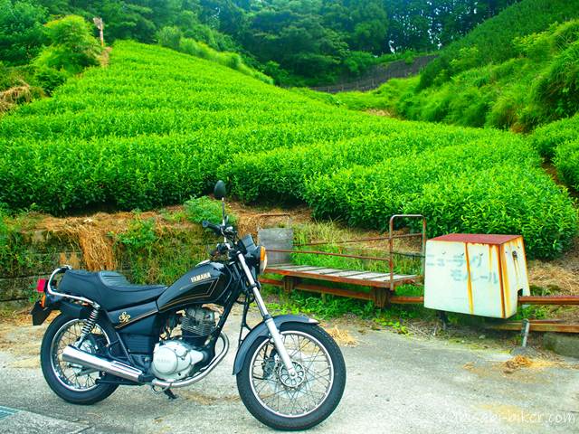 緑の茶畑を背景に、バイク(YAMAHA SR125)が道路脇に停められている。その隣には、使用されなくなった古いモノラックと運搬機が写っており、静かな農村の風景を記録した一枚