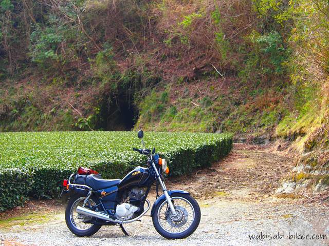 茶畑の手前に黒いバイク（YAMAHA SR125）が停められており、茶畑の奥の山肌には防空壕のような洞穴がぽっかりと口を開けている