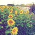 8月のバイク写真選｜お散歩ツーリングで見た、季節の端っこ