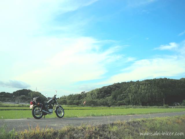 田んぼと山とオートバイ YAMAHA SR125