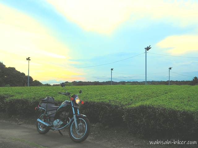 茶畑と夕空とオートバイ YAMAHA SR125