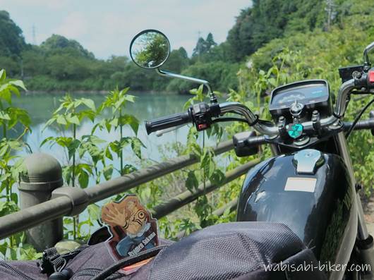 池とアクスタとオートバイ YAMAHA SR125