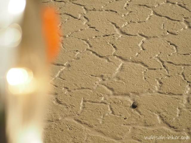 ひび割れた湿った泥の上に小さな松ぼっくりがひとつ転がっている。左端にはぼかされたバイクのヘッドライトとウィンカーの一部が写り込み、秋の気配を感じさせる静かな一枚