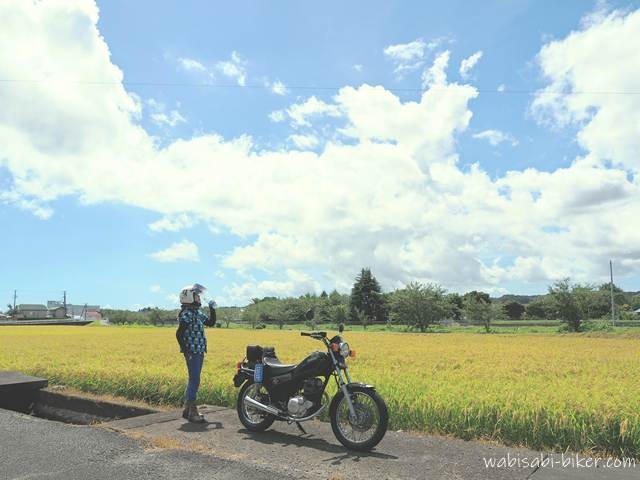 黄金色の稲穂が広がる田んぼの小道に黒いバイク(YAMAHA SR125)が停まり、女性ライダーが立ち止まって飲み物のボトルを口にしている。澄んだ青空に白い雲が浮かび、秋晴れの風景が広がる