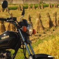 黒いバイク(YAMAHA SR125)の後方に、収穫された稲束が整然と並ぶ田んぼが広がっている。画面右下にはまだ刈り取られていない稲が写っており、収穫途中の様子が伺える
