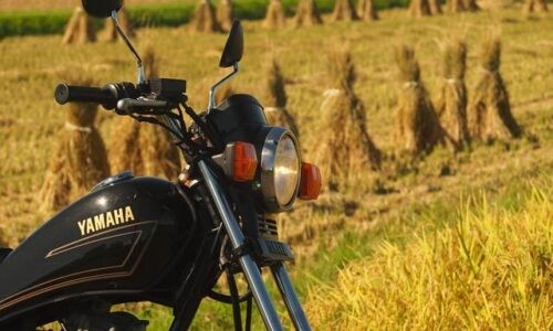 黒いバイク(YAMAHA SR125)の後方に、収穫された稲束が整然と並ぶ田んぼが広がっている。画面右下にはまだ刈り取られていない稲が写っており、収穫途中の様子が伺える