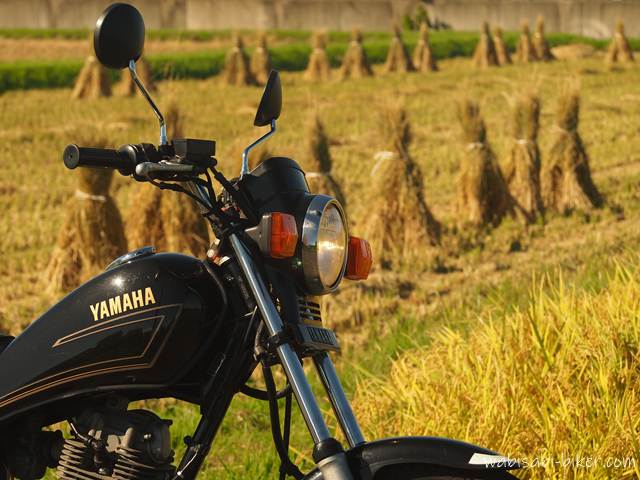 黒いバイク(YAMAHA SR125)の後方に、収穫された稲束が整然と並ぶ田んぼが広がっている。画面右下にはまだ刈り取られていない稲が写っており、収穫途中の様子が伺える
