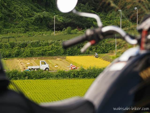 バイク越しに眺める稲刈り風景