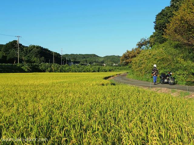 稲穂とバイクのある風景