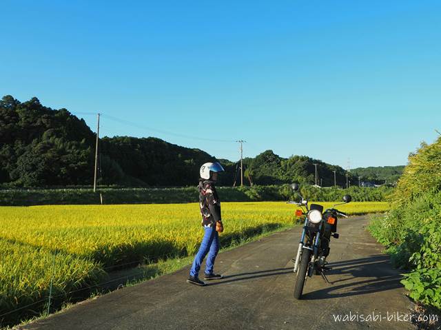 秋の稲穂とバイク乗り YAMAHA SR125