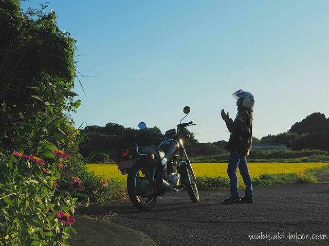 稲穂とガーベラとバイク乗り