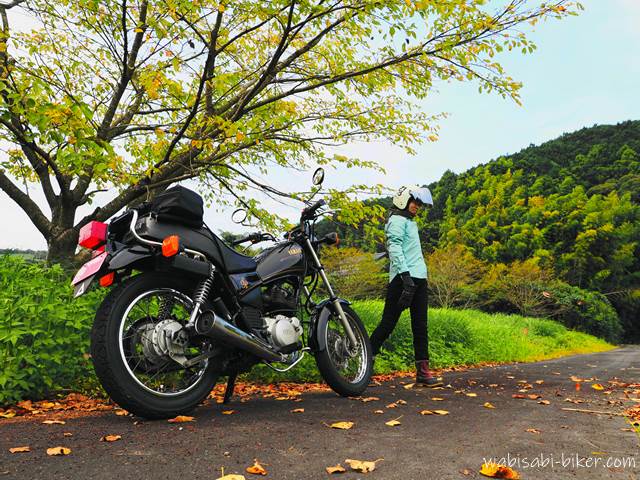 桜の黄葉と女性バイク乗り YAMAHA SR125