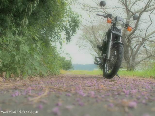 道に落ちた葛の花とオートバイ YAMAHA SR125