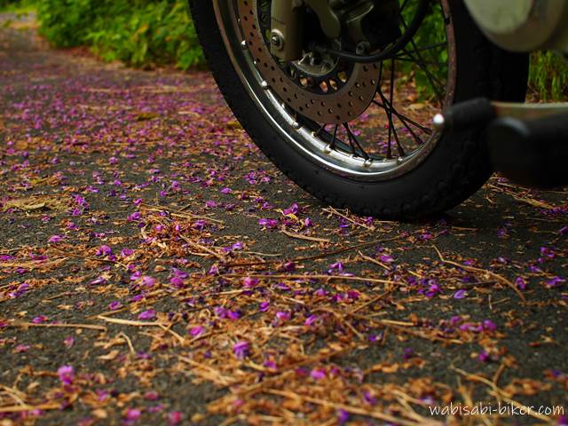 道に落ちた葛の花とバイクの前輪