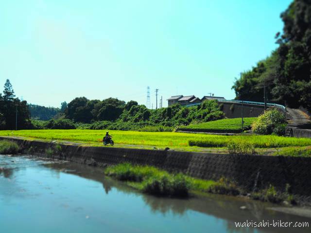 田んぼの川沿いを走るオートバイ