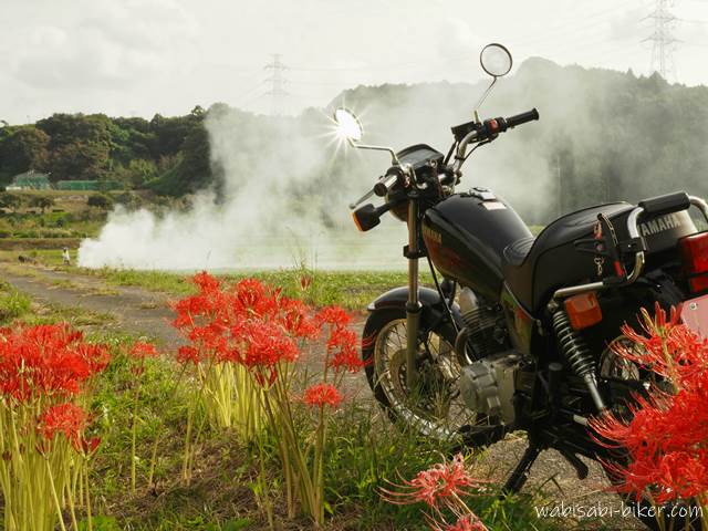 ヒガンバナとバイクと稲わら焼きの煙 YAMAHA SR125