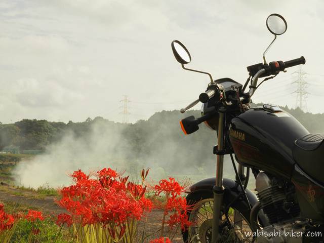 ヒガンバナとバイクと稲わら焼きの煙 YAMAHA SR125