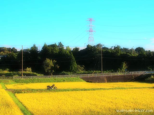 稲穂と青空とバイクのある風景