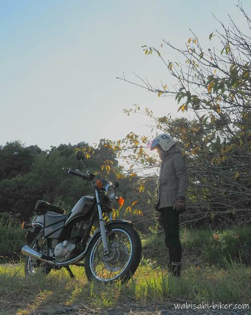 夕暮れの黄葉とバイク乗り YAMAHA SR125