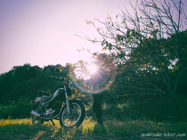 秋の夕陽と黄葉 逆光バイク写真