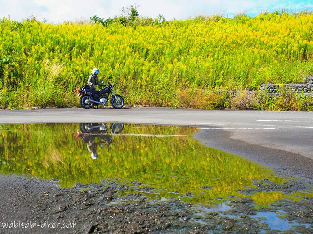 セイタカアワダチソウとバイクのリフレクション写真