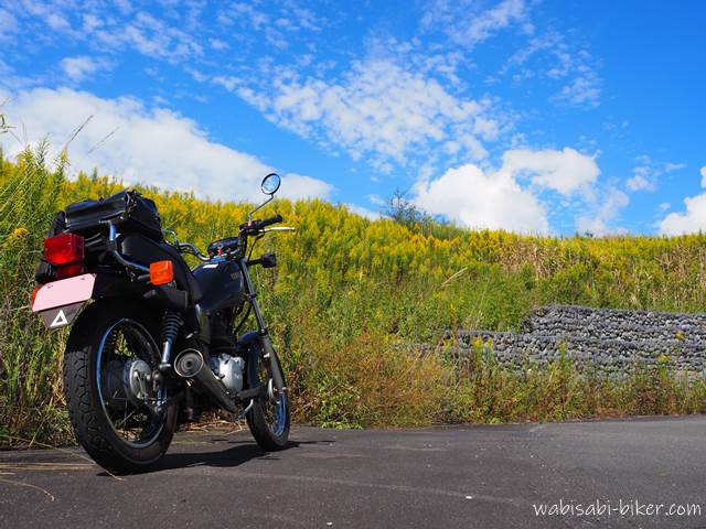 セイタカアワダチソウとオートバイ YAMAHA SR125