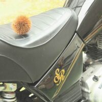 黒いバイク(YAMAHA SR125)のシート上に、イガに包まれた栗が1つ置かれている。車体には“SR”の金色ロゴが見える。