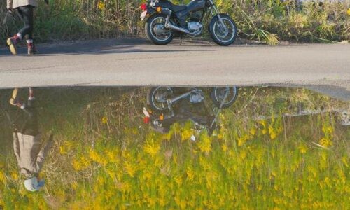 黄色く咲き誇るセイタカアワダチソウの道端に黒いバイク(YAMAHA SR125)が停車しており、手前の大きな水たまりに風景が鏡のように反射している。バイクに向かって歩くライダーの姿もリフレクションとして映り込んでいる。