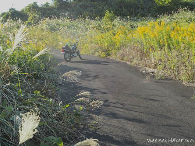 ススキとセイタカアワダチソウとバイクのある小道