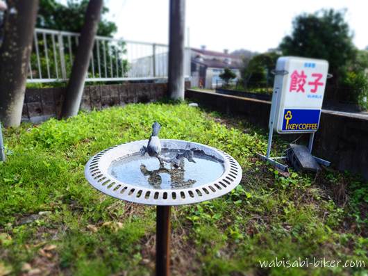 ミスターパパ 鳥の水飲み場と餃子の看板