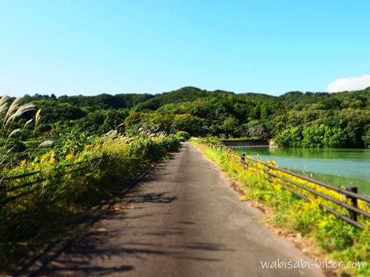 西大谷ダム公園 遊歩道